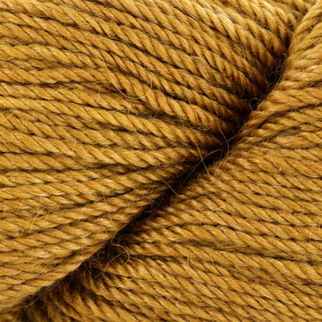 Goldenrod (6)