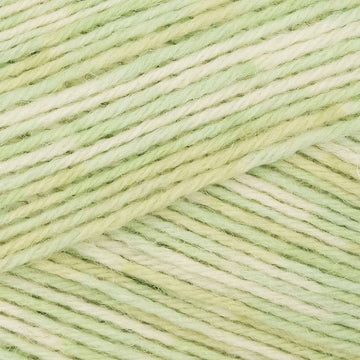 Gypsophilia (803)