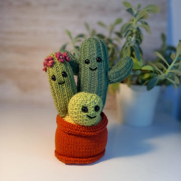 Knitted Cactus Family