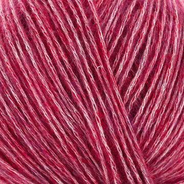 Raspberry (495)