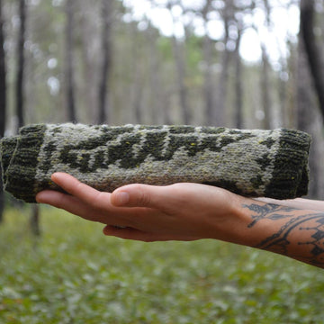 Alocasia Cowl