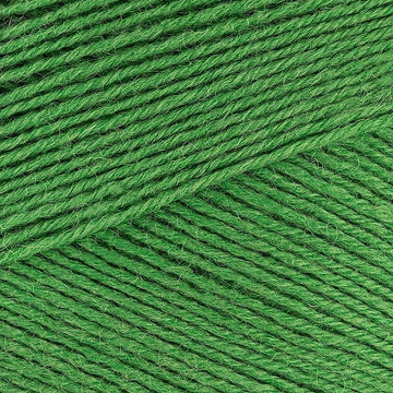 Chocolate Lime (395)