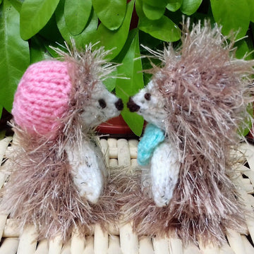 Hedgehog Companions - Ferrero Rocher Covers