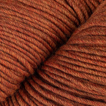 Caraway (27)