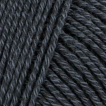 Charcoal  (14351)