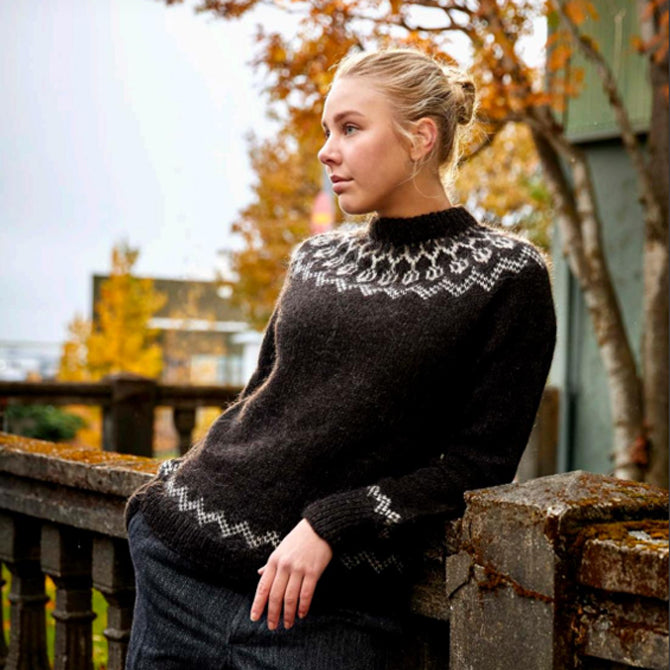 Lopi Book 37 Knitting Pattern