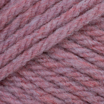 Tudor Rose (905)