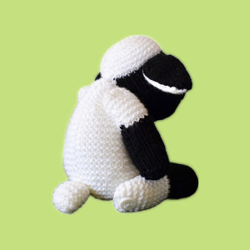 Ally the Sheep