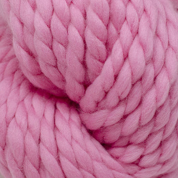 Flamingo (1409)