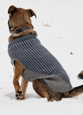 Blue Sky Fibers Bird Island Dog Sweater Knitting Pattern