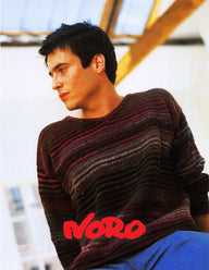 Noro Lockwood Cardigan Knitting Pattern