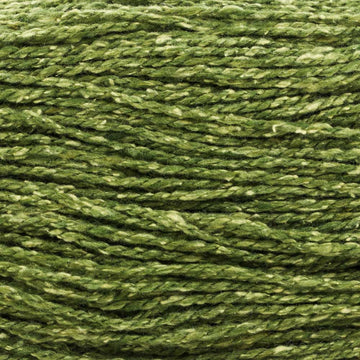 Fern (251)