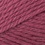 Rose (31)