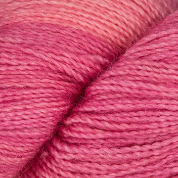 Light of Love (SA857)