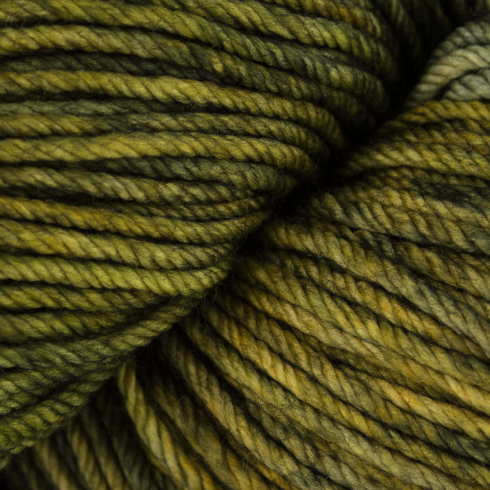 Malabrigo Rios yarn skein in Ivy - hand-dyed 100% superwash merino worsted
