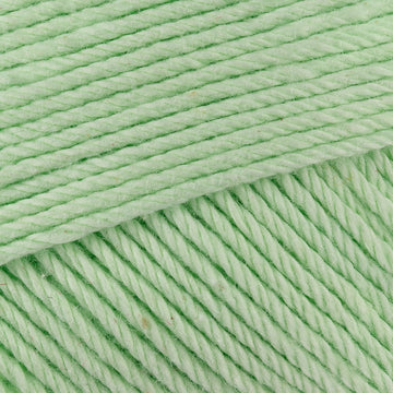 Pastel green  (485)