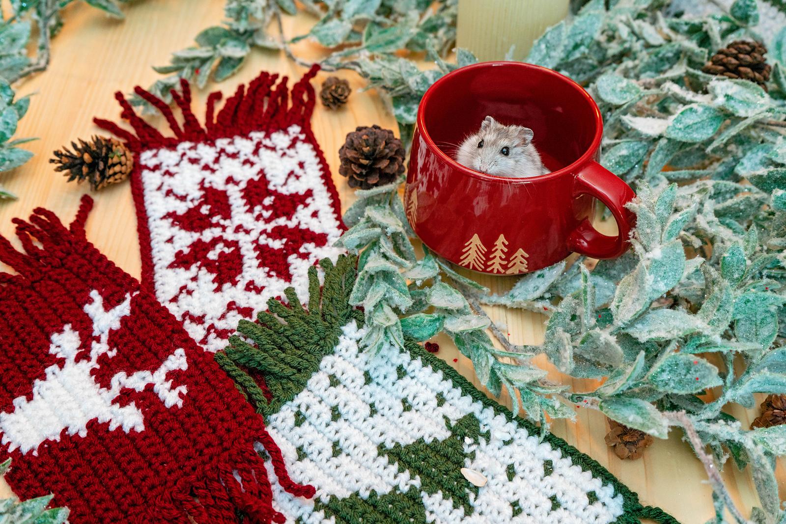 Holiday Mug Rug
