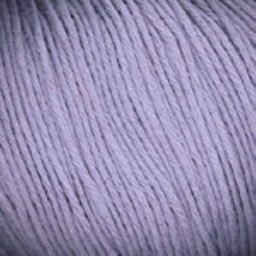 Iris (2859)
