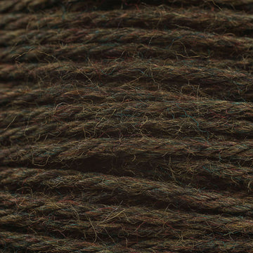 Forest Floor (51173)