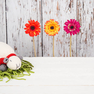 MillaMia Milly The Sheep Toy PDF (Free)