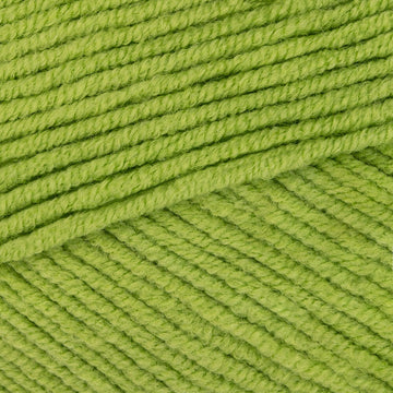 Parrot Green (204)