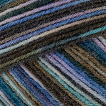 Sea Wead Color (04457)