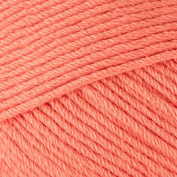 Coral (23)