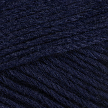 Navy (224)