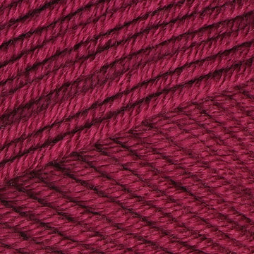 Pomegranate (16)