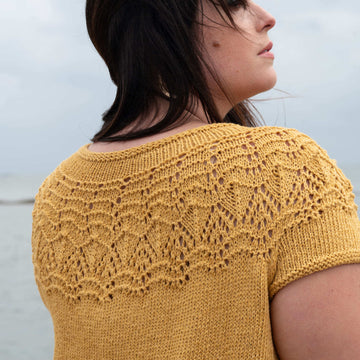 Berroco 451 - Banda PDF