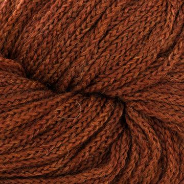 Acorn (31)