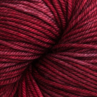 Sun Rose (293)