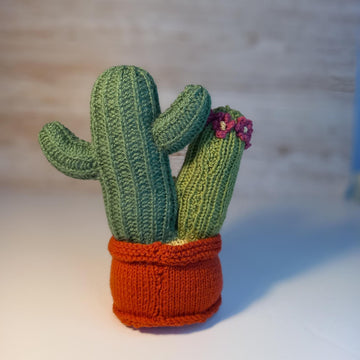 Knitted Cactus Family