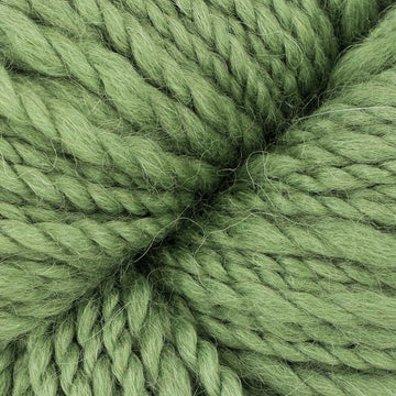 Moss (17)