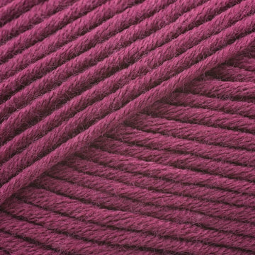Plum (529)