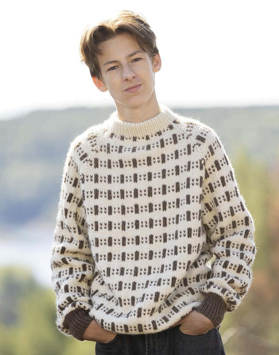 Eddi Sweater in Viking Garn Viking Wool
