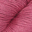 Raspberry Rose (RASP)