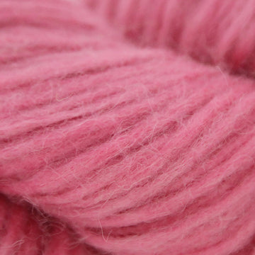 Posh Pink (1981)