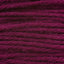 Elderberry (05159)
