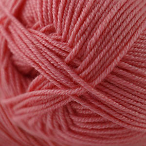 Salmon rose (60)