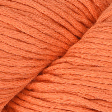 Salmon Upstream (25)