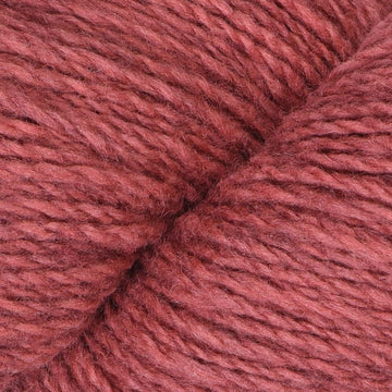 Rose (120)