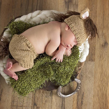 Newborn Horse Set