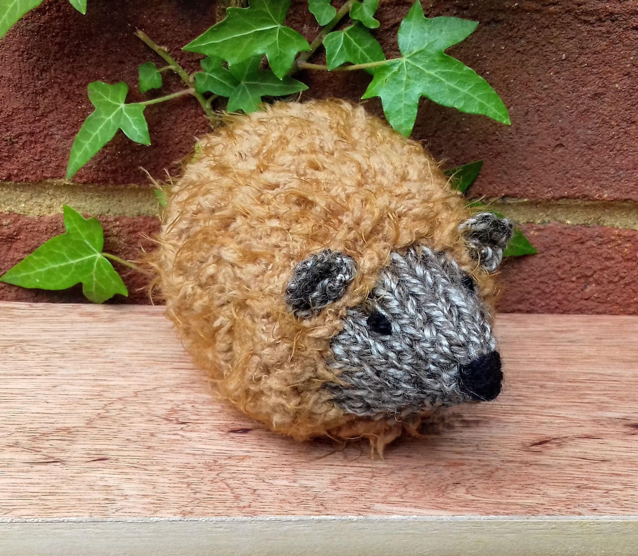 HedgeHUG - Chocolate Orange Cover