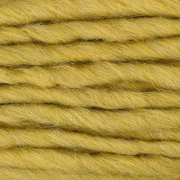 Snowy Owl Eyes (6744)