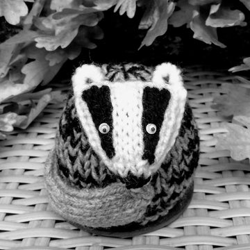 Moonlight Mr Badger - Chocolate Orange Cover