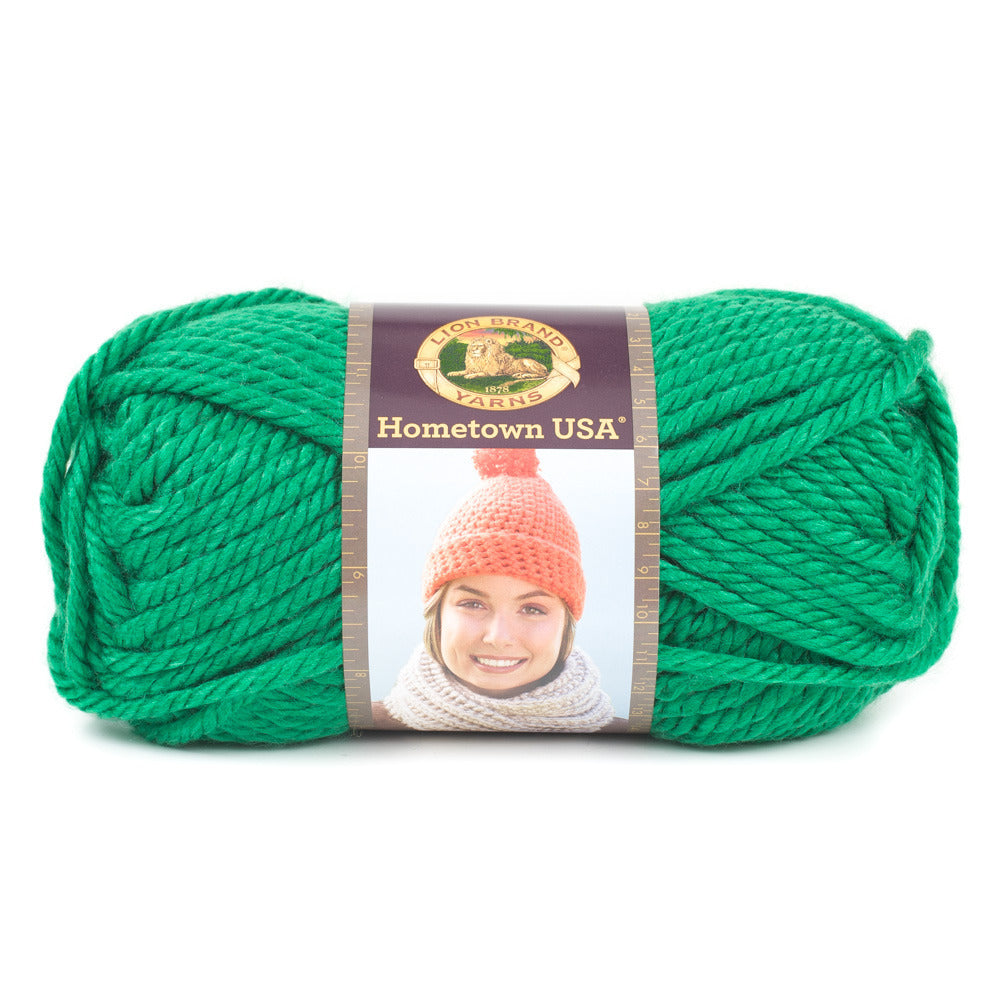 Lion Brand Hometown USA Yarn - Acrylic Super Chunky