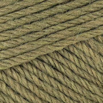 Bayleaf (2663)