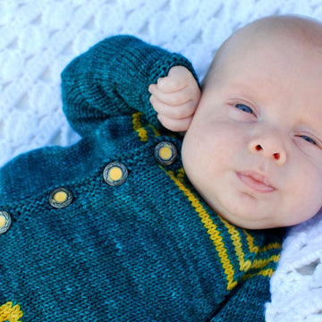 Weehistoric Cardigan