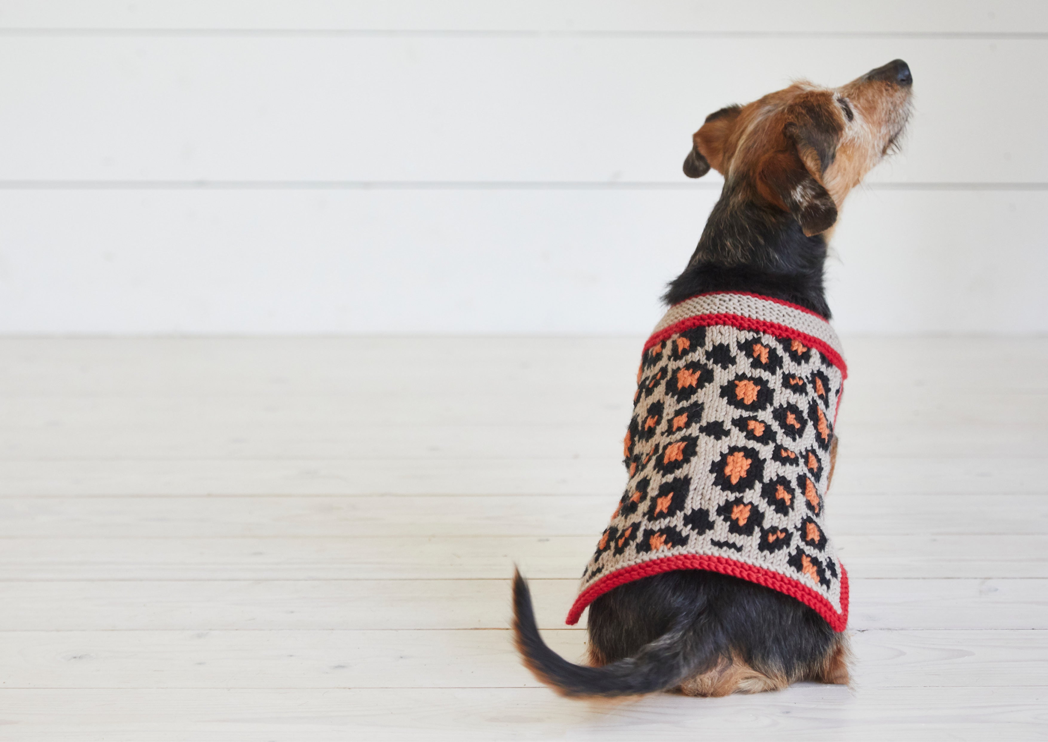 Debbie Bliss Leopard Pooch Knitting Pattern